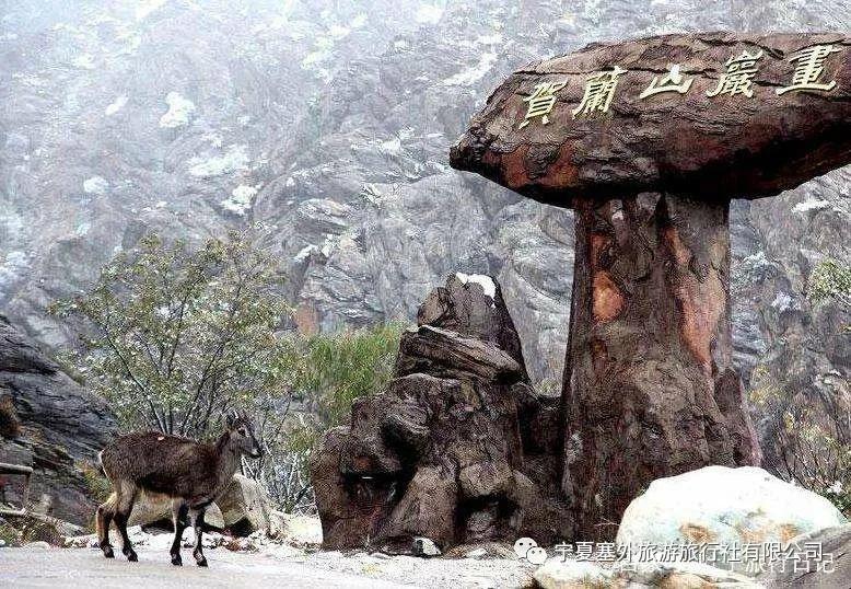 宁夏塞外旅游旅行社有限公司招聘,宁夏塞外旅游旅行社