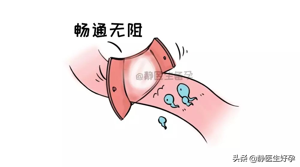 静医生备孕机构可靠吗,静医生备孕调理值得信任吗