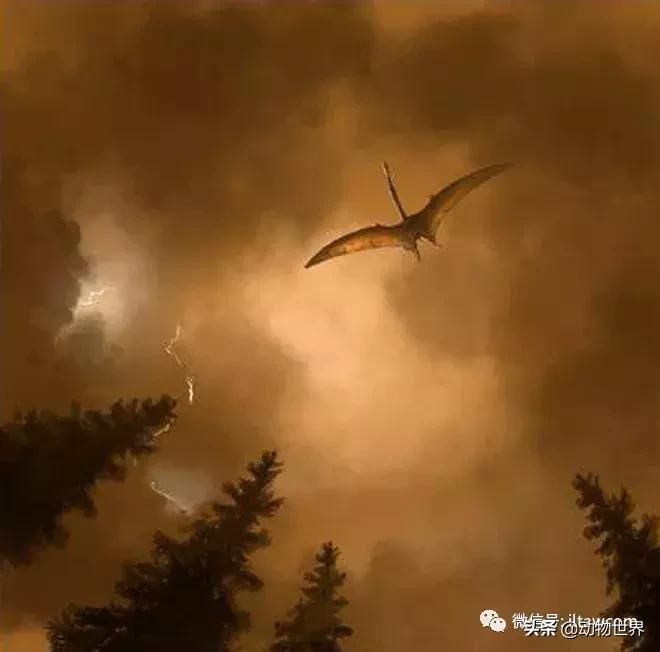 哈特斯哥翼龙比风神翼龙大吗,哈特兹哥翼龙复原图