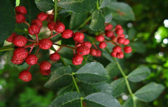 超拼网怎么样,超拼网是干什么的