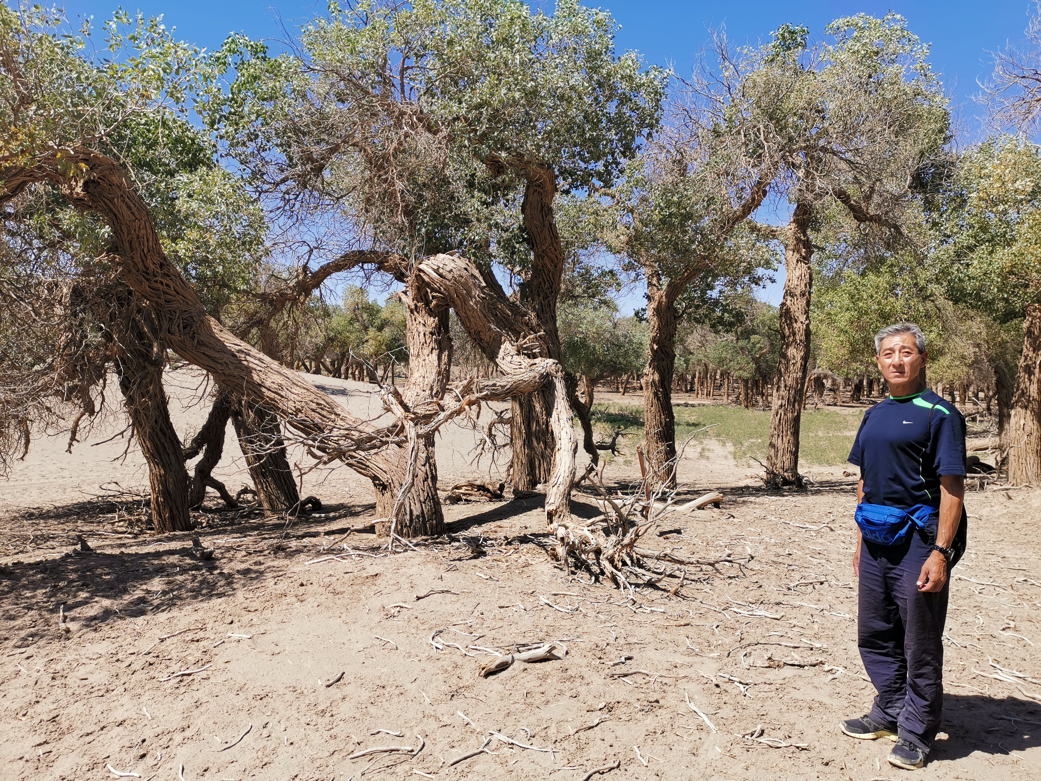 退休老人独自旅行全中国,退休老人旅游住宿