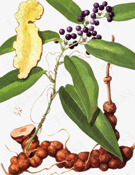 中医治疗耳鸣常用药,耳鸣和脑鸣的中医秘方