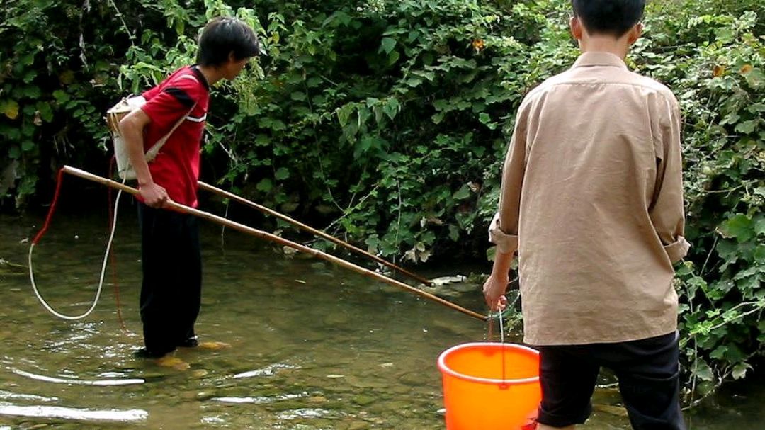 电鱼从什么时候禁止了,电鱼为什么是违法的