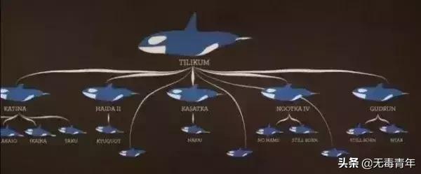 被囚34年取精，被迫亲手杀死爱子，最后只能挣扎着死去…
