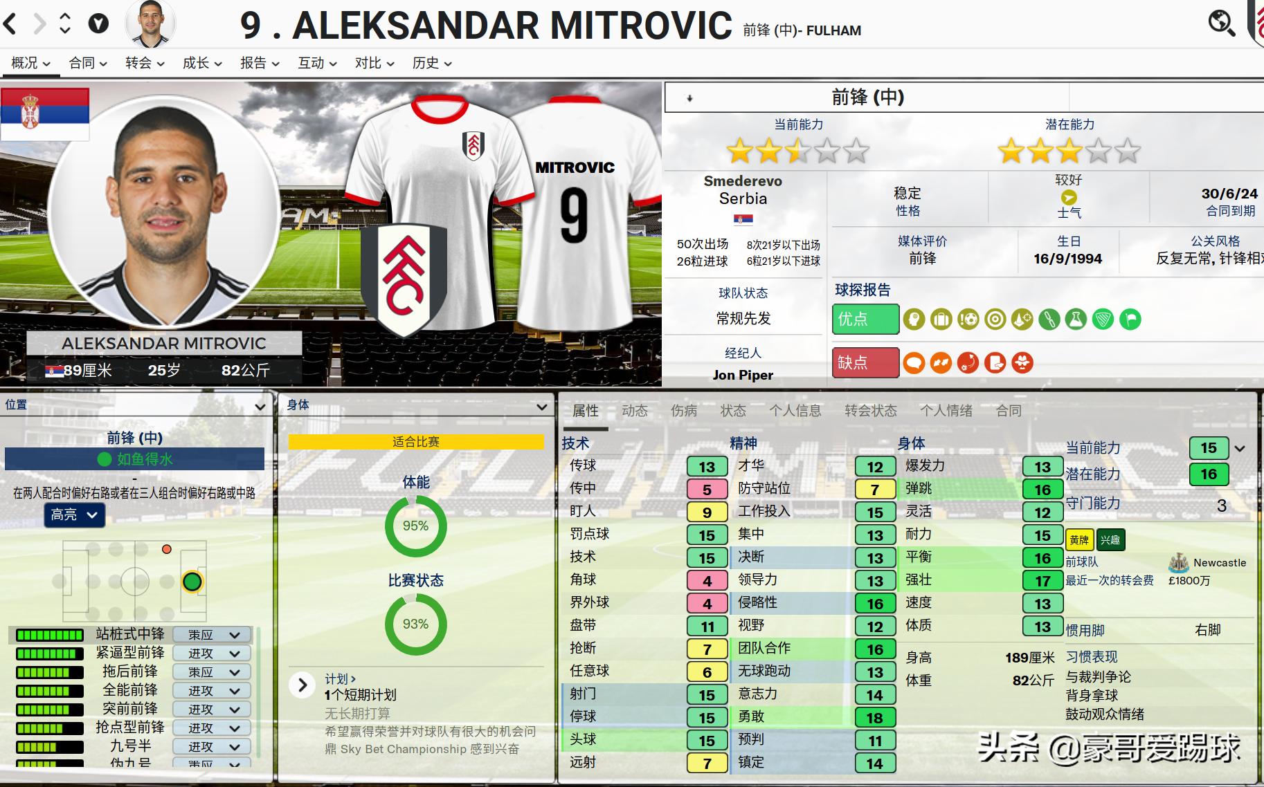 fm足球经理2024名单导入,fm2019足球经理战术