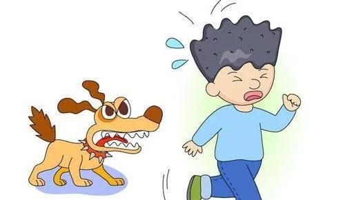 被狗狗追的经历,宠物狗被狗追怎么办