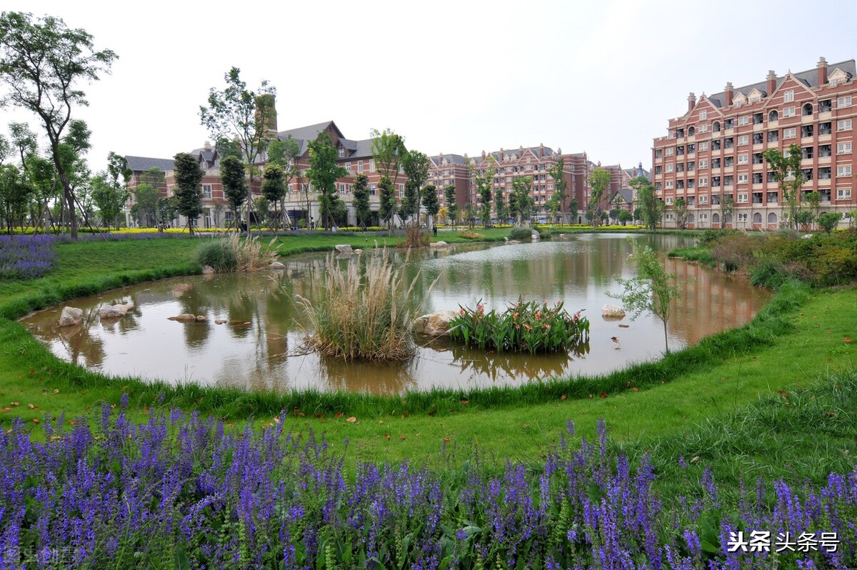 我的校园五年级优秀作文,五年级写我的校园