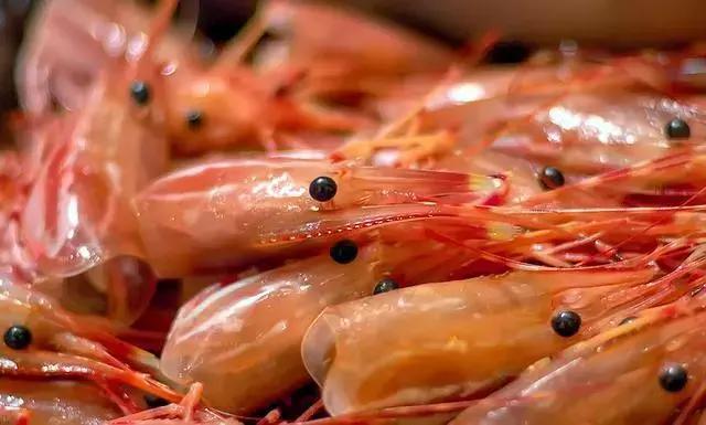 人人都能看懂的威海海鲜攻略,威海海鲜什么时候最好吃