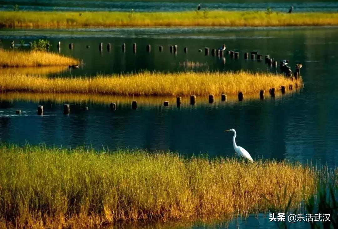 原来武汉有这么多好玩的打卡地,武汉周边新晋7大网红打卡地