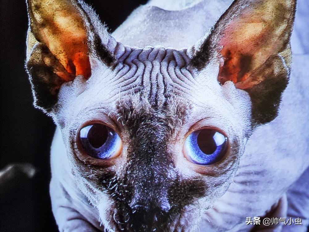 峰米激光电视4kmax测评,峰米激光电视4kcinema测评