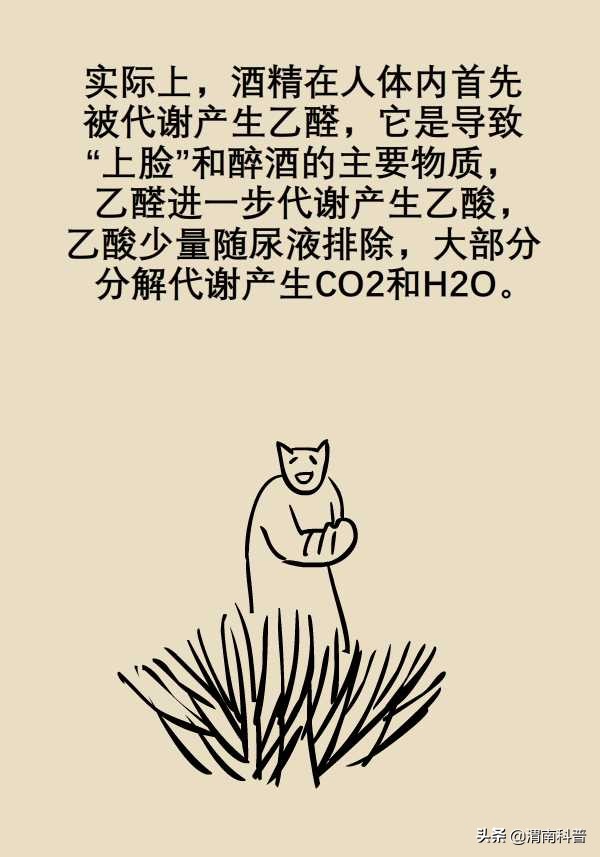 解酒最快最有效的方法蜂蜜和香蕉,蜂蜜解酒好还是葡萄糖解酒好