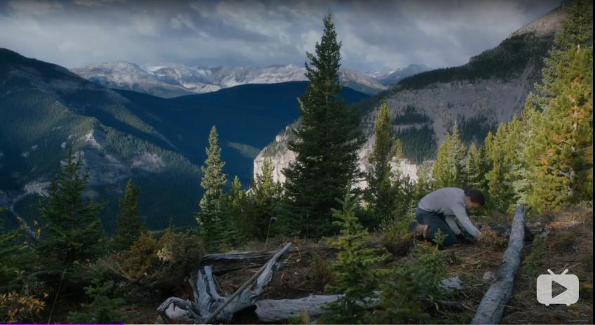 苍天啊大地啊是刘欢的哪首歌曲,苍天啊大地啊是哪个小品