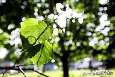 医学和心理学的关系,浅谈医学心理学论文参考文献