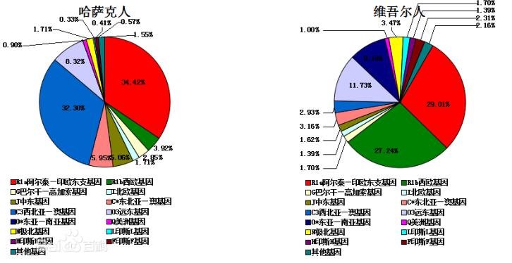 各民族基因对比,中国民族的遗传基因