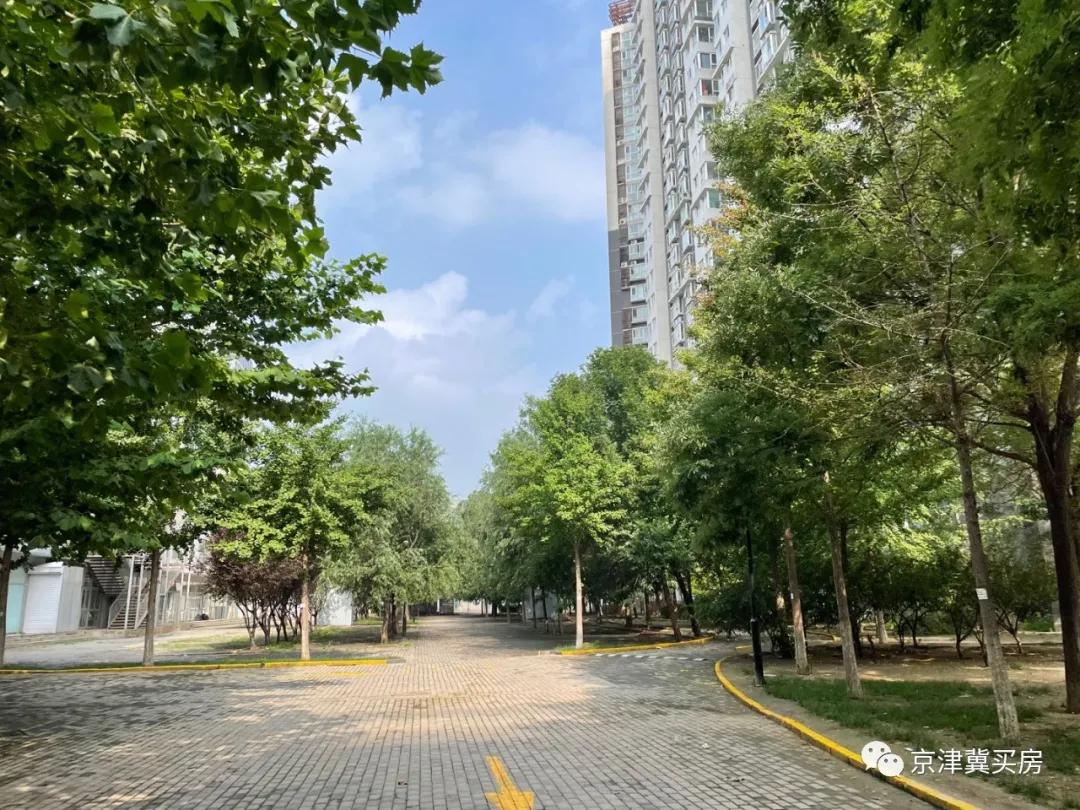 朝青2018年价格,朝青价格走势