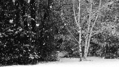 皮鞋脏了用鞋油怎么清洗,牛津皮鞋脏了怎么打理