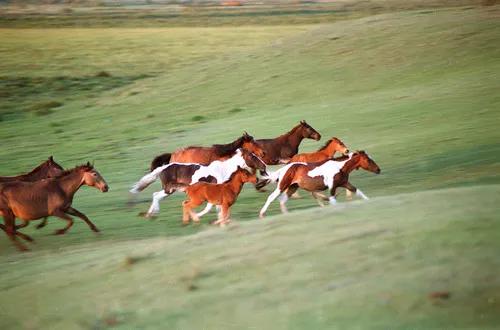 汉武帝被赐名叫什么,汉武帝赐名闻喜
