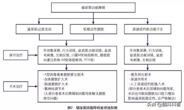 神经源性膀胱患者治愈采访,神经源性膀胱康复案例