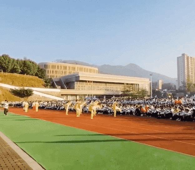 珠海校运会直播,珠海田家炳中学校运会