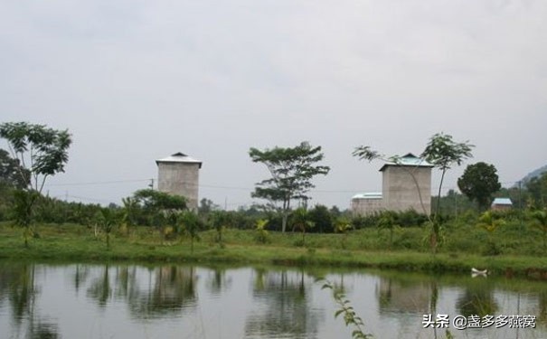 印尼燕窝产地介绍,关于印尼燕窝的介绍