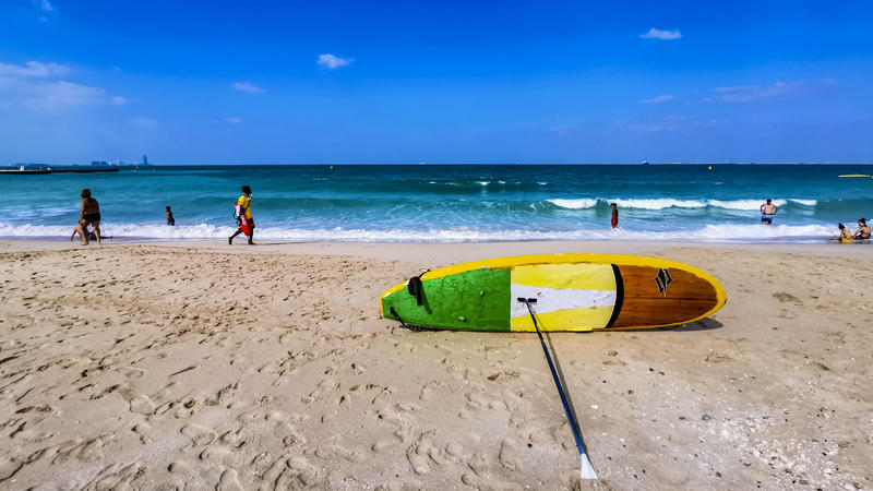从天空到海洋到大地的视频,从天空到海底绘本