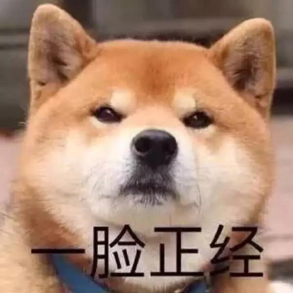 在家打发时间的100种方式,在家里打发时间的最佳姿势