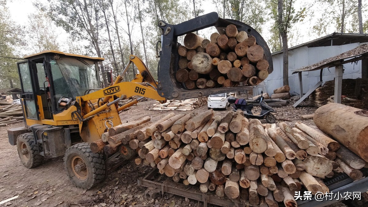 农村创业项目快速赚钱,新农村创业适合做的几个生意项目