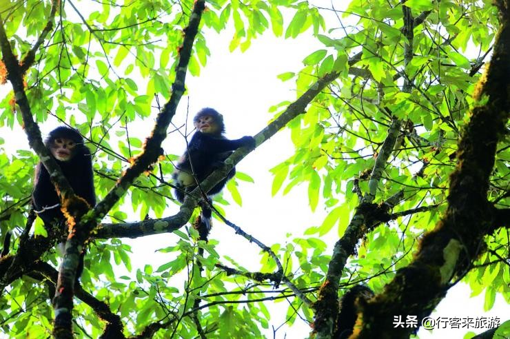 世界最大峡谷,云南最大的峡谷怒江大峡谷