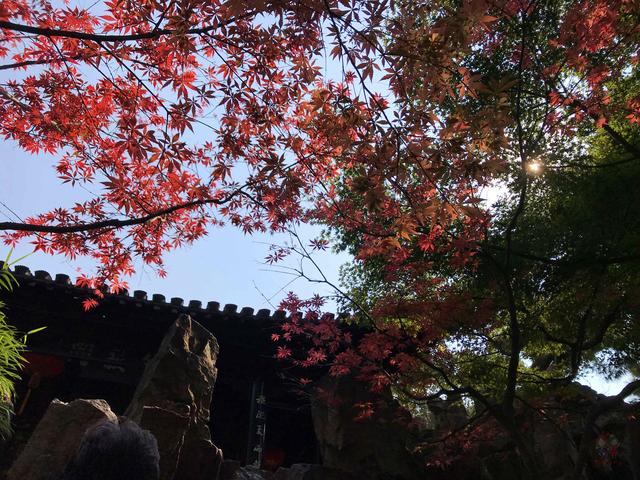 #全民热遗#扬州个园，“中国四大名园”，小园子却藏四季