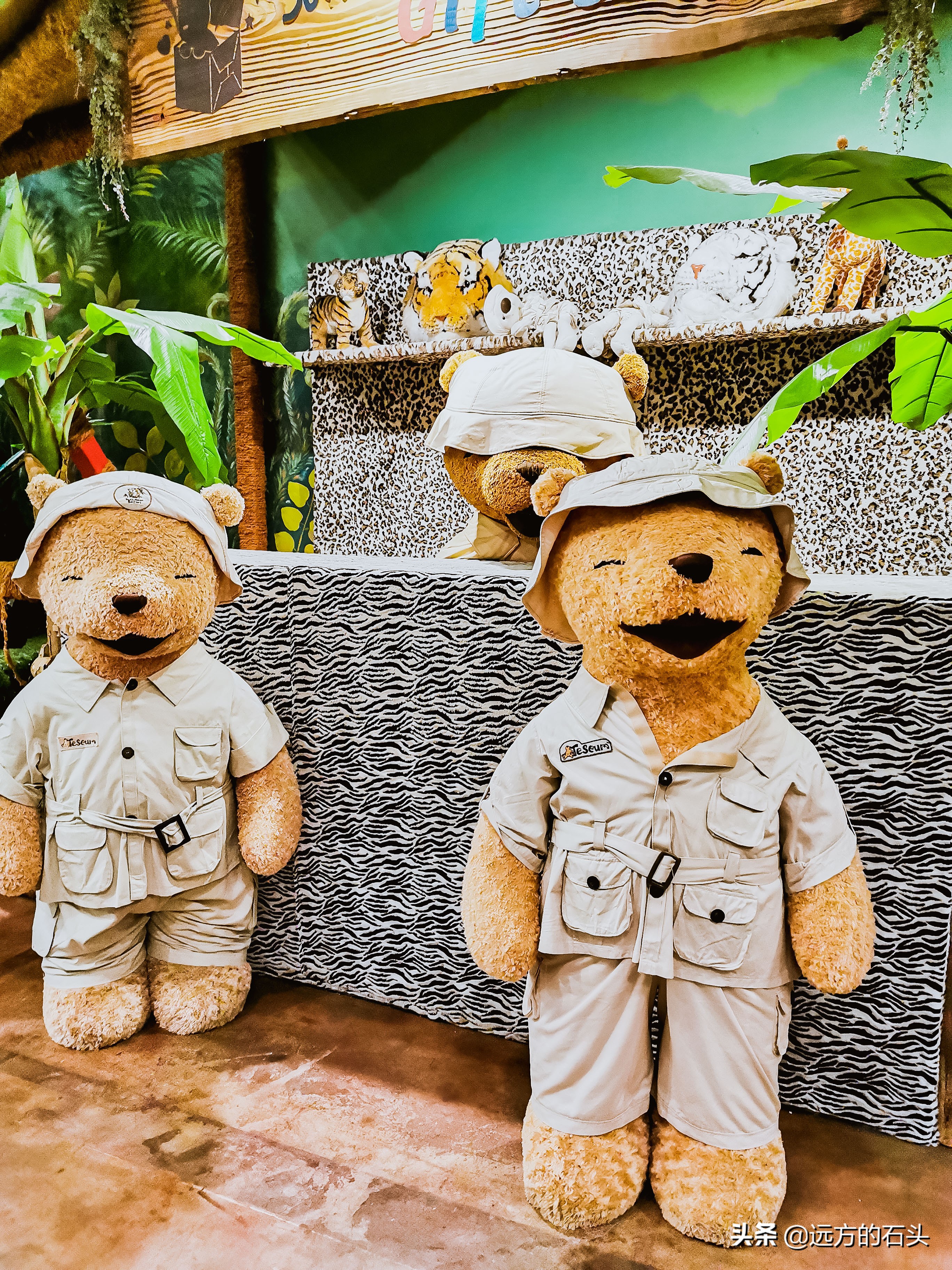 五天四夜济州岛,五天四夜旅游跟团