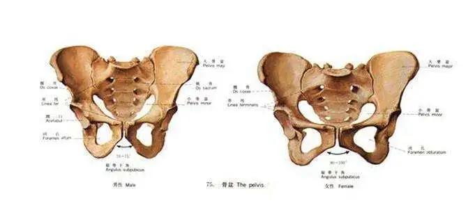 关于女性分娩话题,评论女人生娃前后的变化