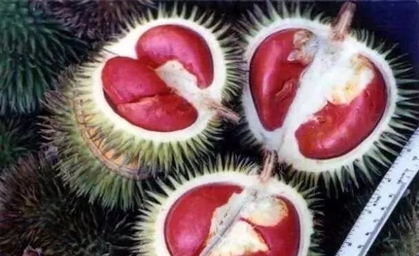 东南亚9大奇葩水果,第3个在中国是爆款!