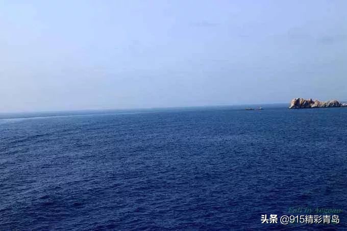 中国最好的海刺海参,黄金刺参西沙群岛深海纯野生海参