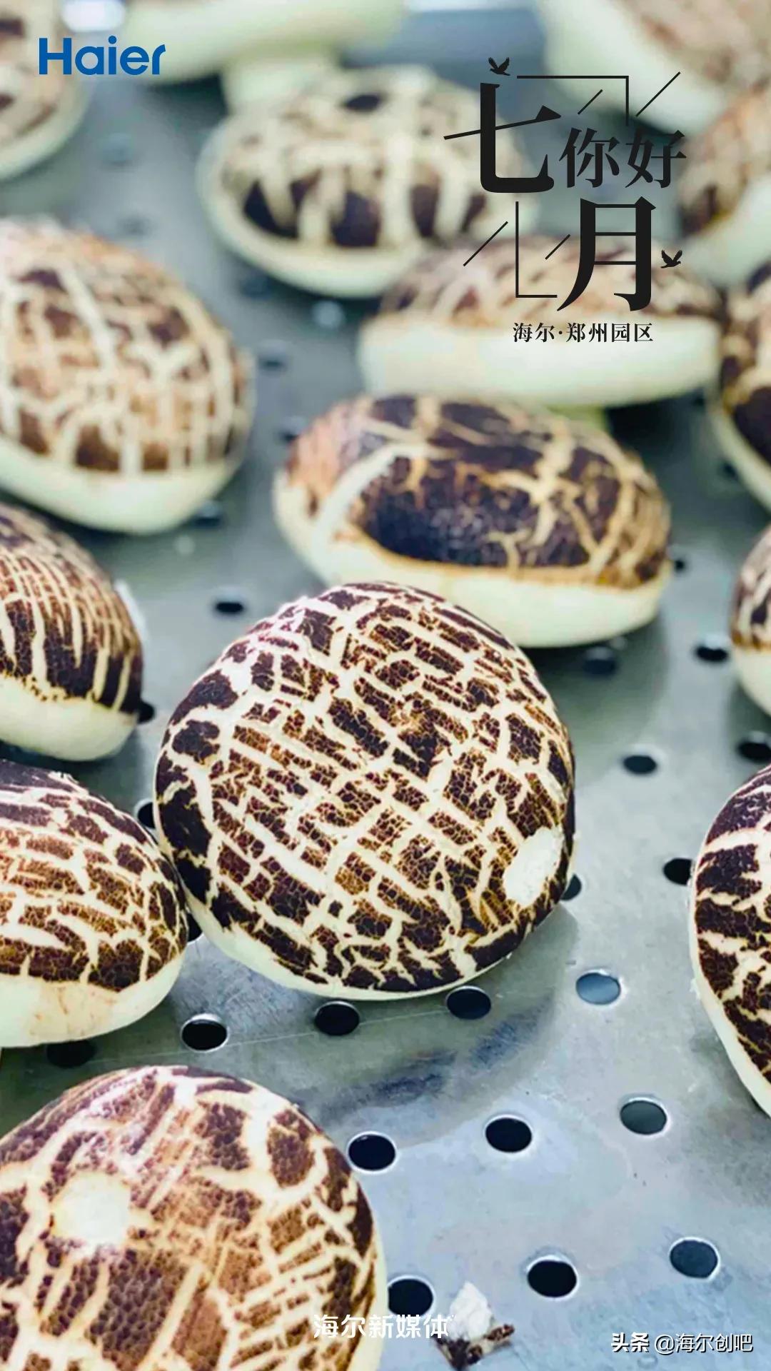 你好七月歌曲完整版,你好七月音乐视频