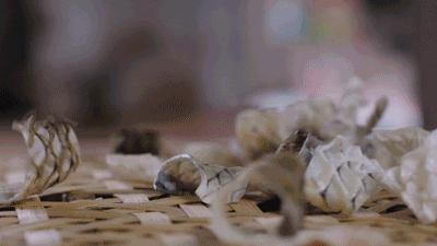 饿着肚子看美食对身体好吗,饿着肚子看别人吃饭的危害