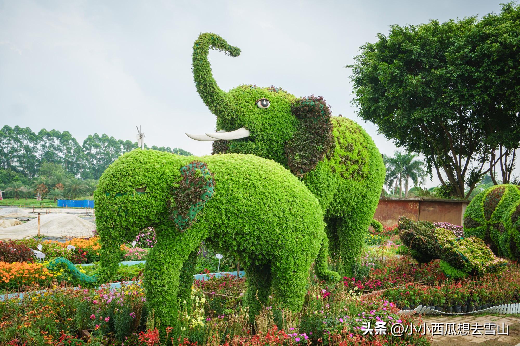 广西南宁出发凤凰古城旅游攻略,南宁到云南自驾游最佳路线攻略