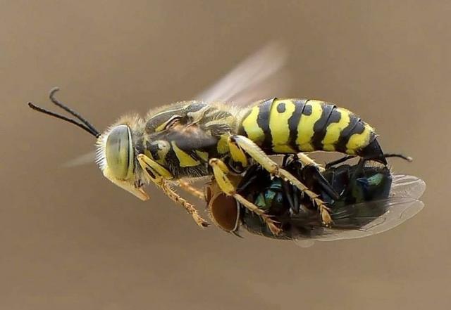 31张活久见的神奇自然照片,17张震撼人心的图片你看懂了几张