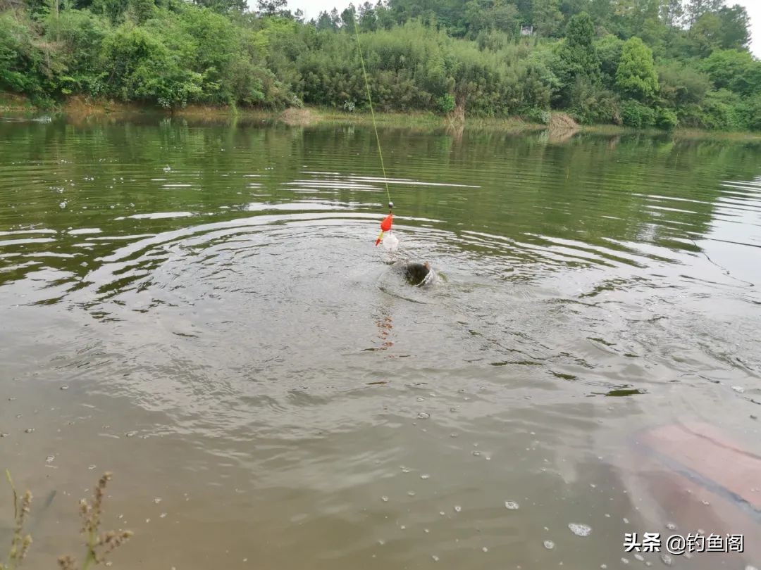 钓鱼主线上临时绑浮头怎么绑,钓鱼漂座如何穿到主线上