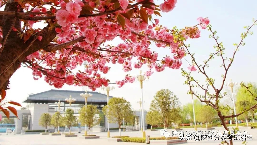 两汉三国，真美汉中|汉中职业技术学院