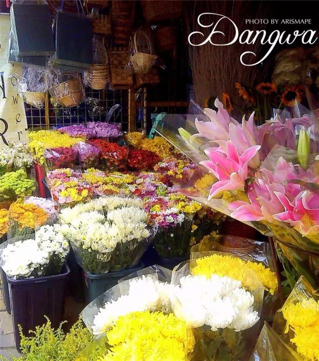 亚洲最大花市宛如仙境,中国最牛的花市