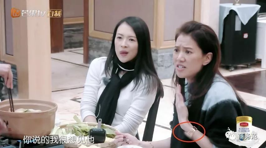 袁咏仪戴劳力士手表的照片,袁咏仪打马赛克原话