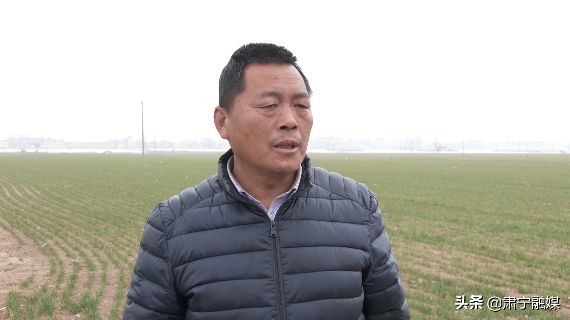 肃宁融媒,肃宁融媒怎么样