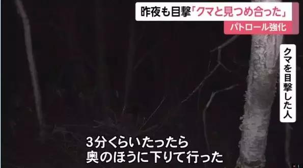 北海道市区接连两米巨熊，真实的熊出没好可怕！