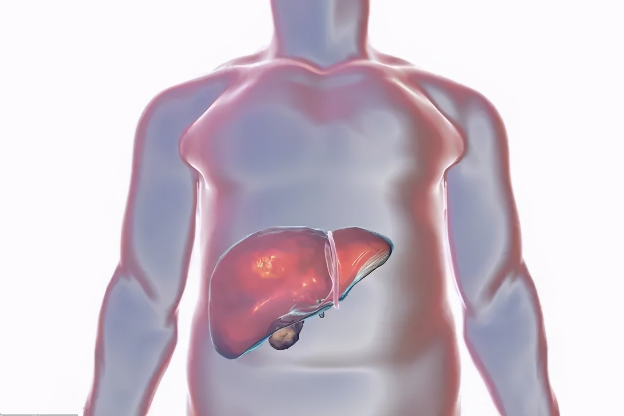 甘胆酸检查能查胆汁淤积吗,甘胆酸纳入肝功测试