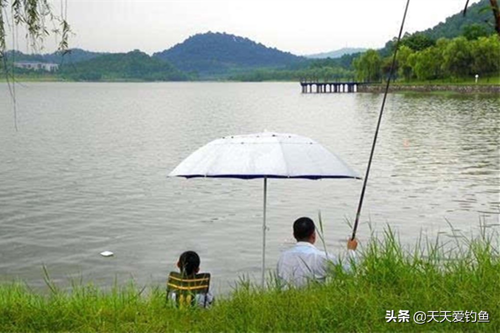 秋天西南风钓鱼怎么样,秋天大风钓鱼钓深还是钓浅