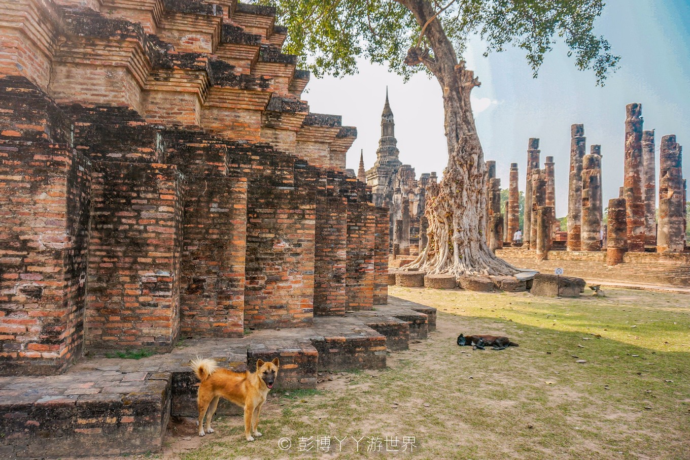 泰国千年古城大城府,泰国吴哥窟和柬埔寨吴哥窟