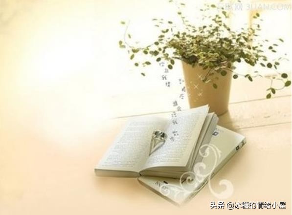 找一个温暖你的爱人相伴到老,真心实意的找一个爱人