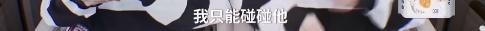 蔡徐坤金靖被逗日常,蔡徐坤金靖最新一期