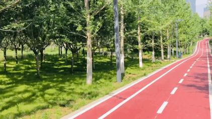 西安办运动会是第几届,西安办运动会的地方