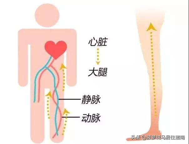 吴宣仪这腿线是练出来的吗,吴宣仪又细又长又直的腿